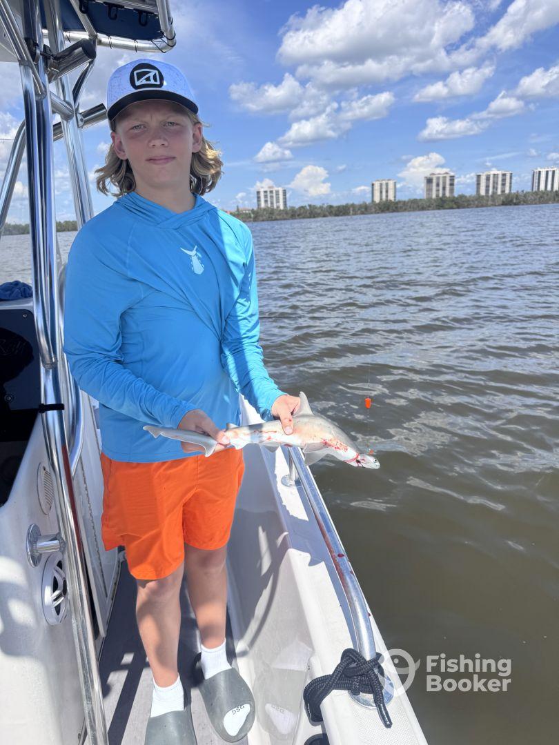 We Caught a Shark We Caught Fish