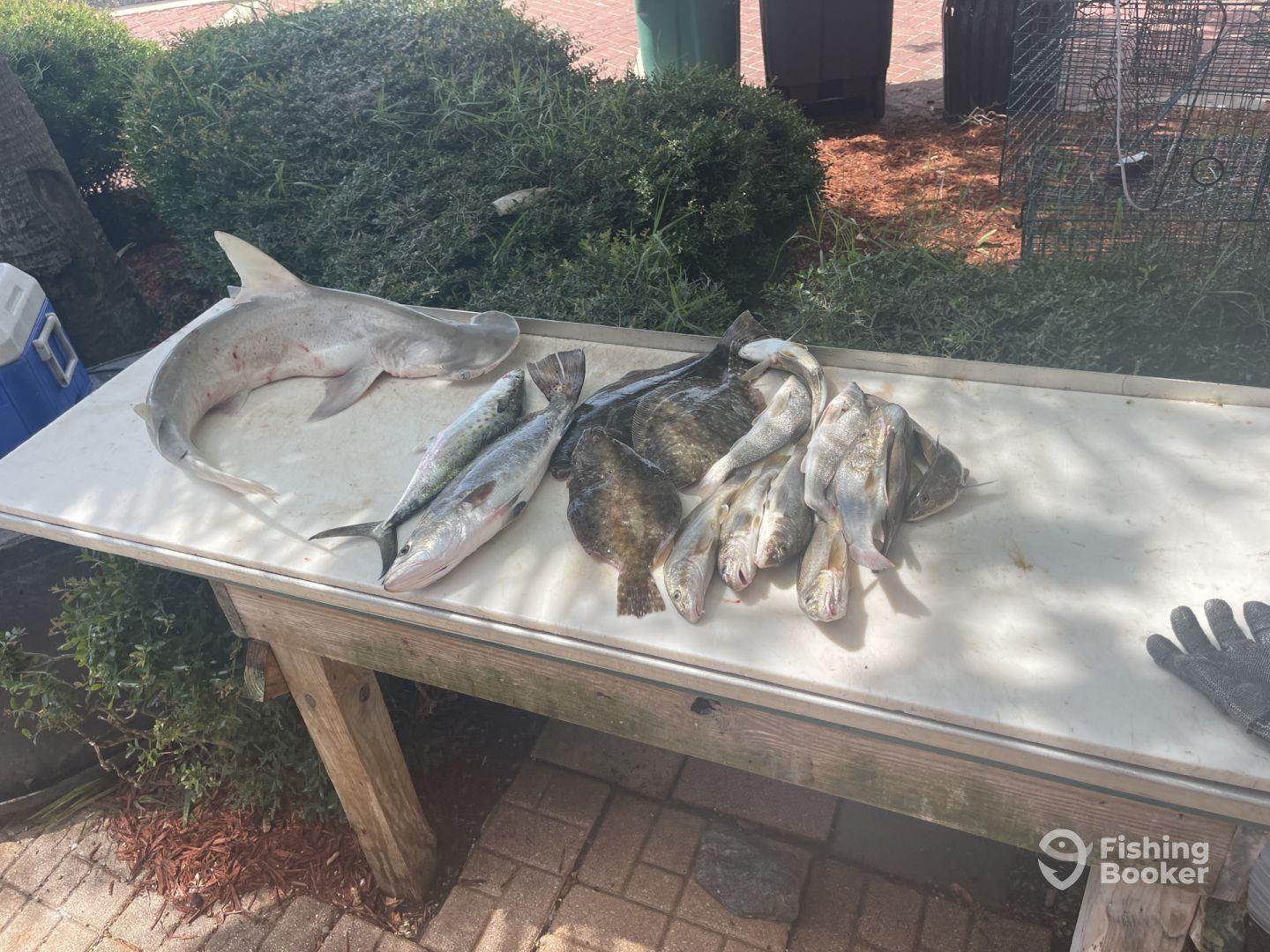 Best and my favorite charter