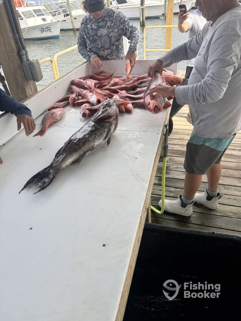 Limited out on Red Snapper