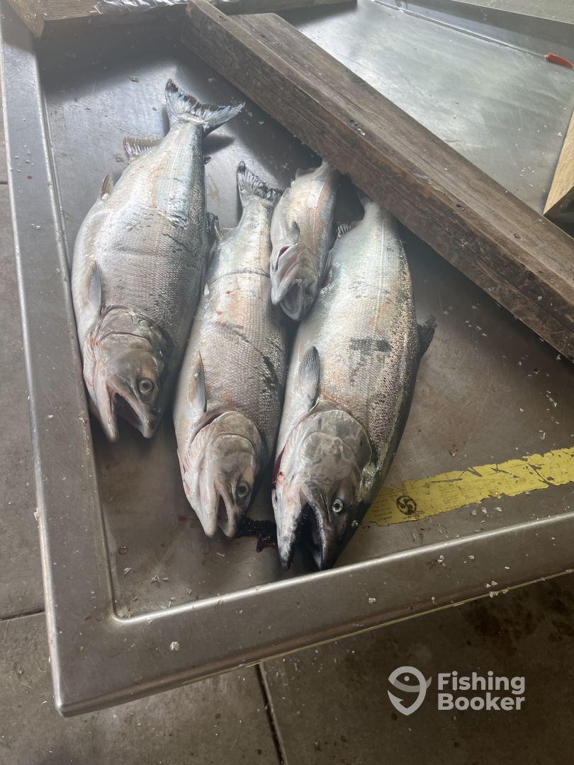 Sometimes you can’t control the fish