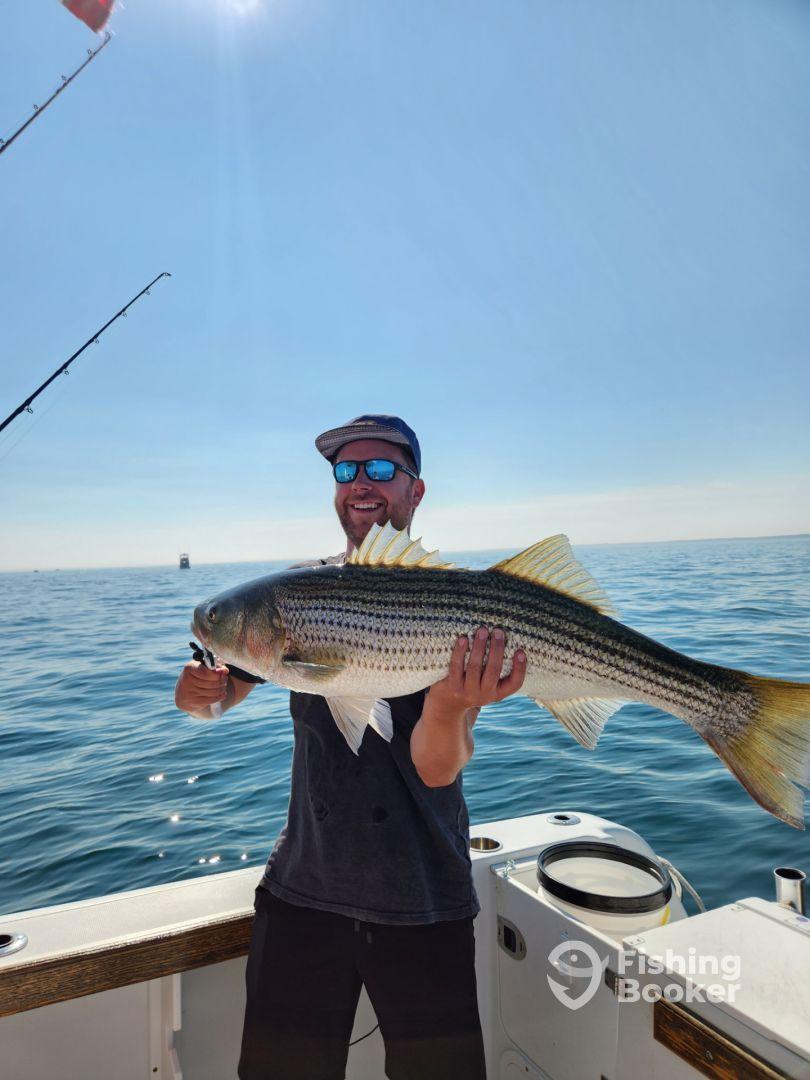 Angler proudly displaying a large Striped Bass while fishing on a sunny day.
