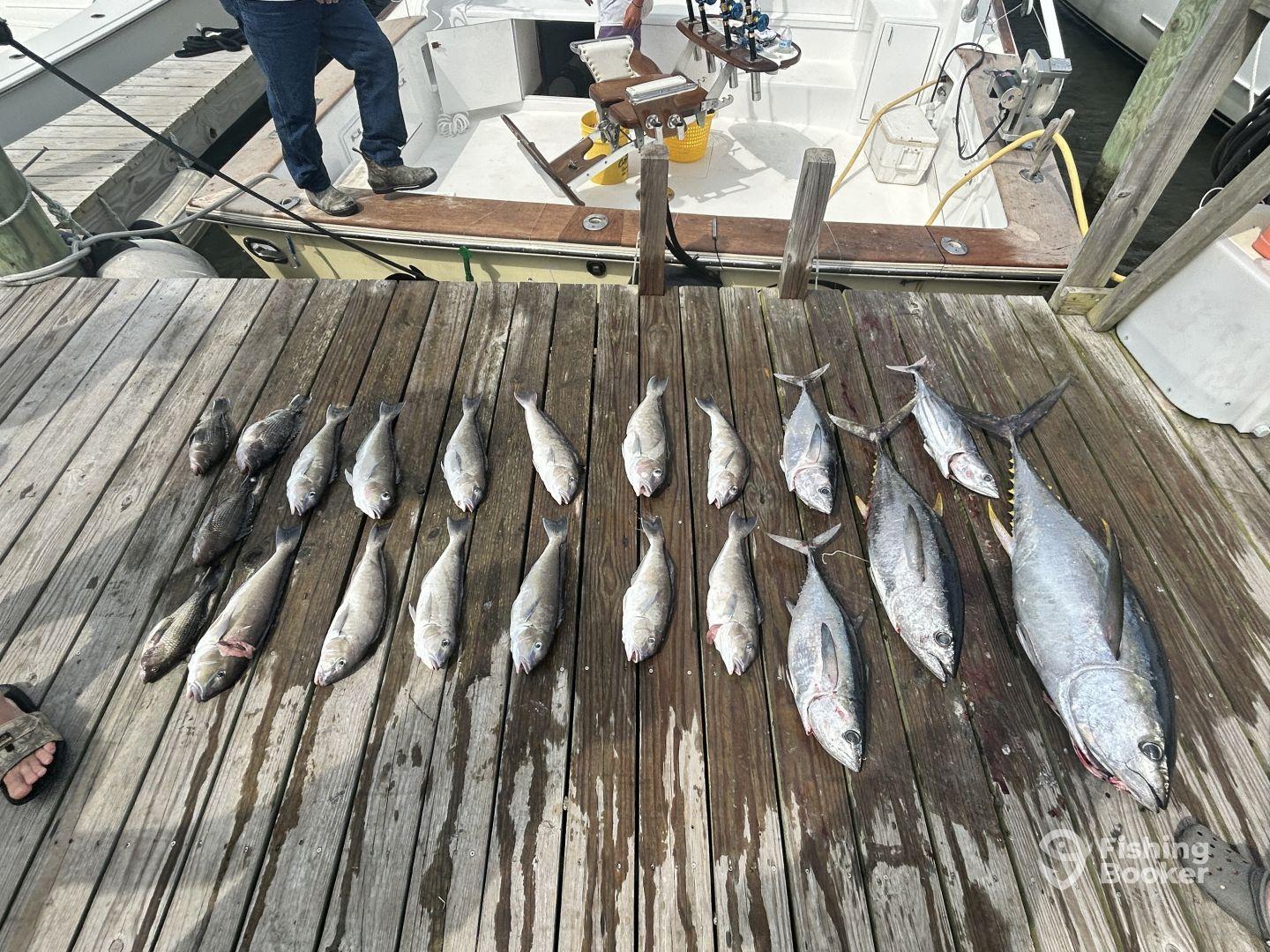 Hope to find more PTO to use