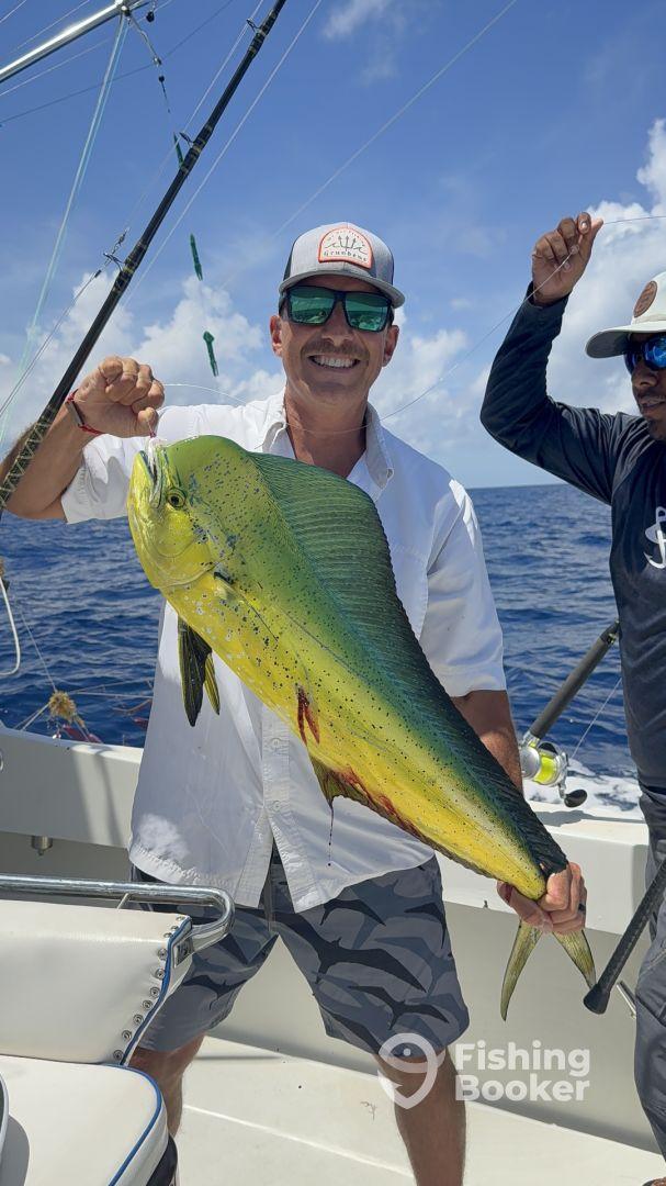 The best on the island