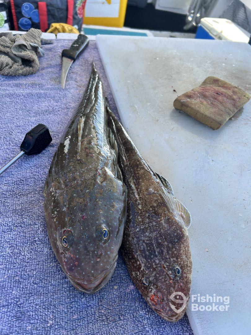 We certainly found fish!