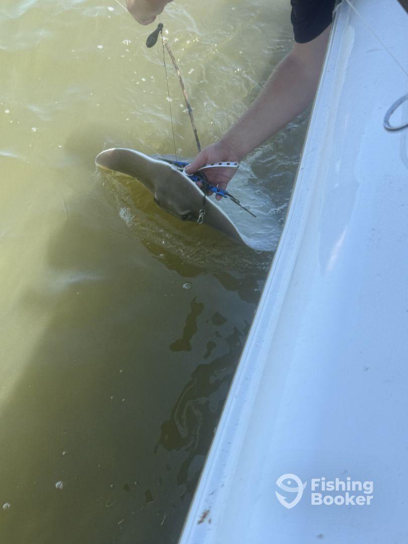 Perfect Short Trip for Families