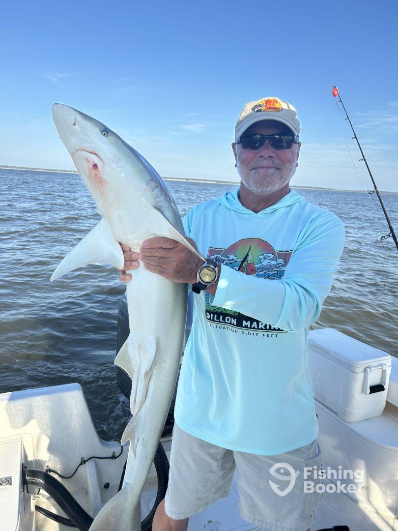 An angler proudly displaying a large shark while fishing on a boat in calm waters.