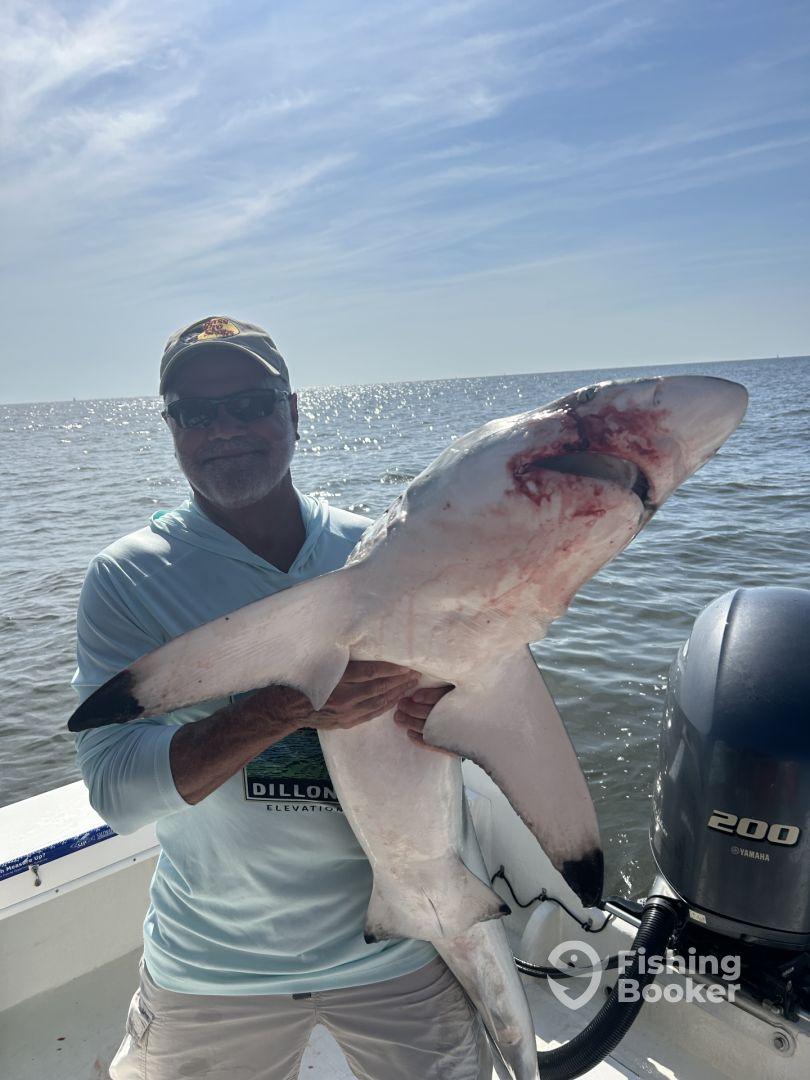 An angler proudly displays a large shark caught during a fishing trip, with the boat and water visible in the background.