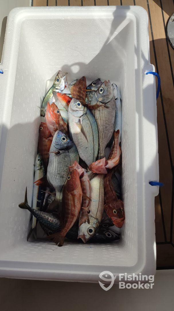 Top day with a top skipper