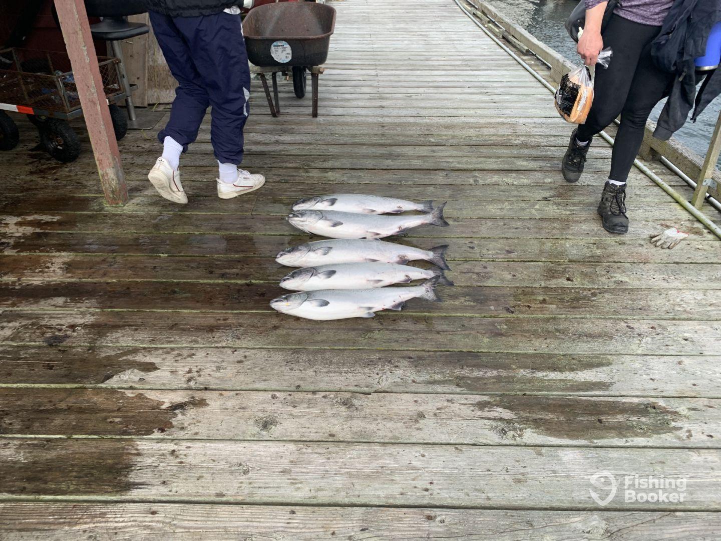 Great fishing experience on the southern coast of Vancouver Island!