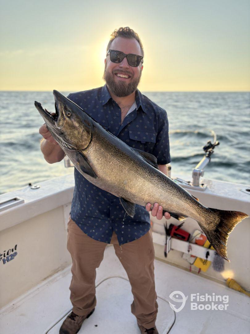 Better than I could have imagined