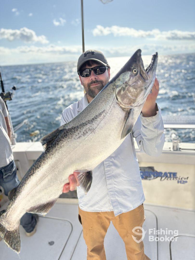 Better than I could have imagined