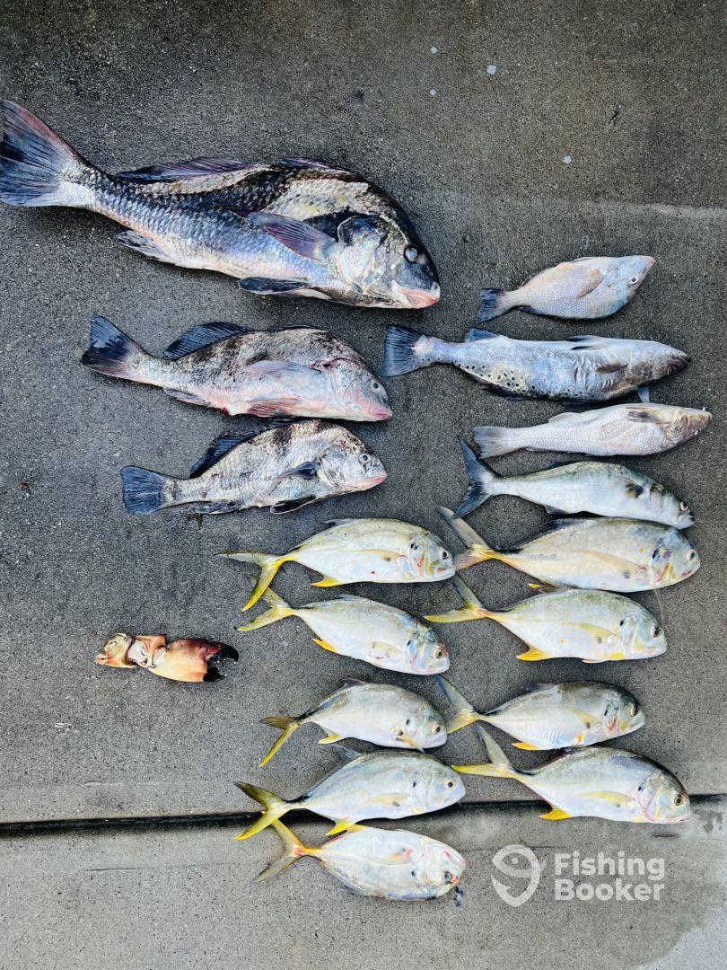 Knowledgeable and friendly captain