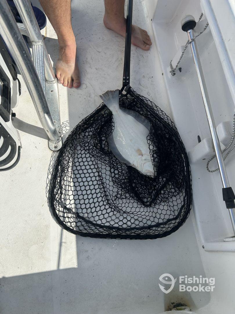 Man we had a great time!