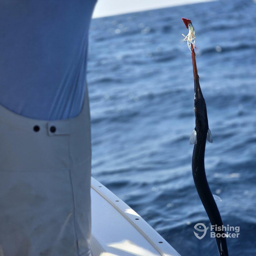 Great times found here!