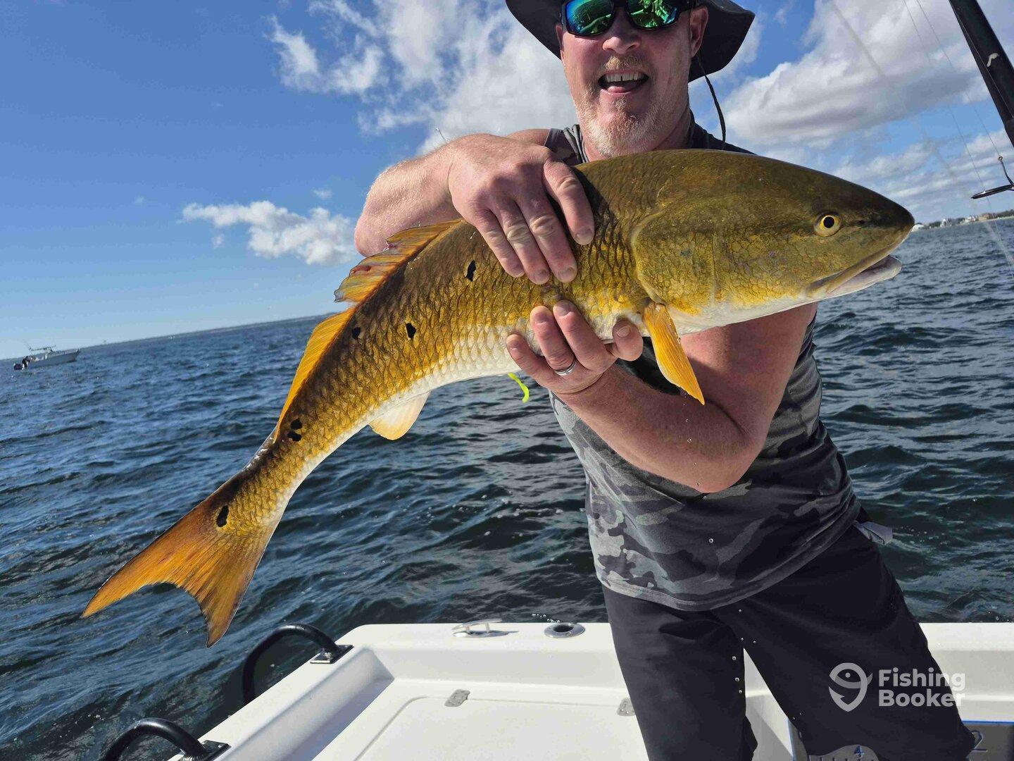 Would definitely do again