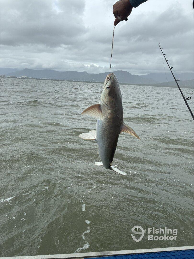 A Great Morning on the Inlet