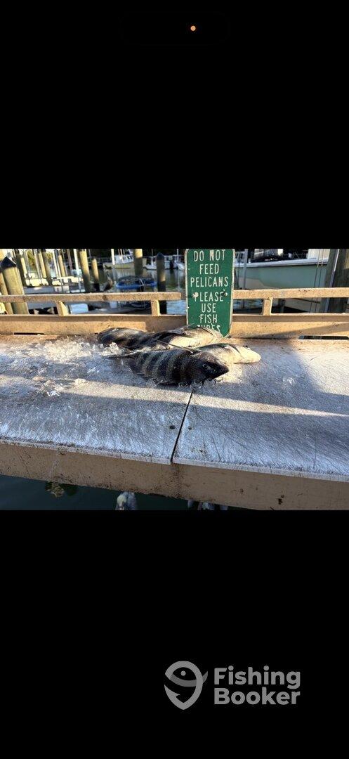 Captain Stacey trip!