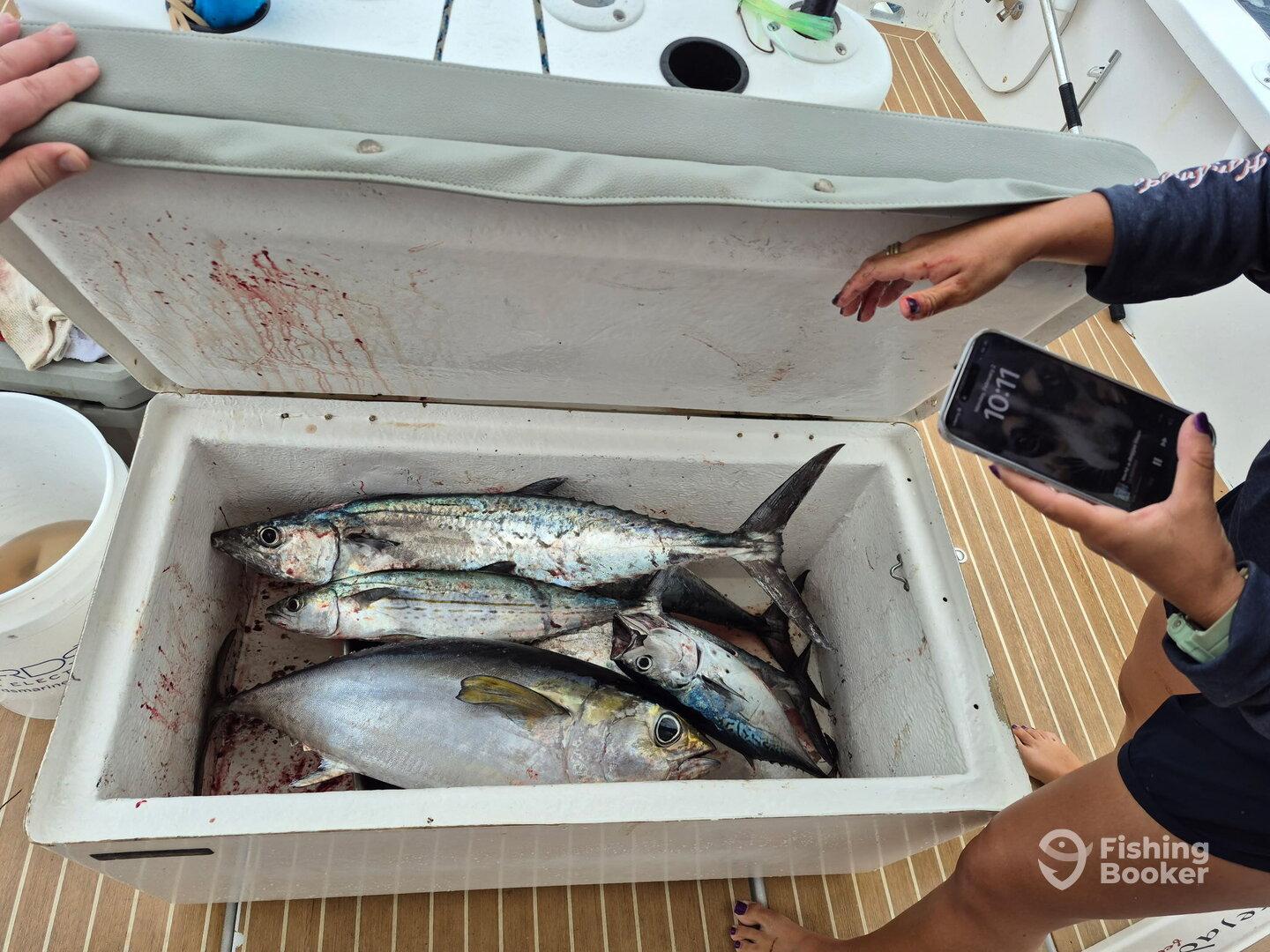 couldn't ask for more!!!