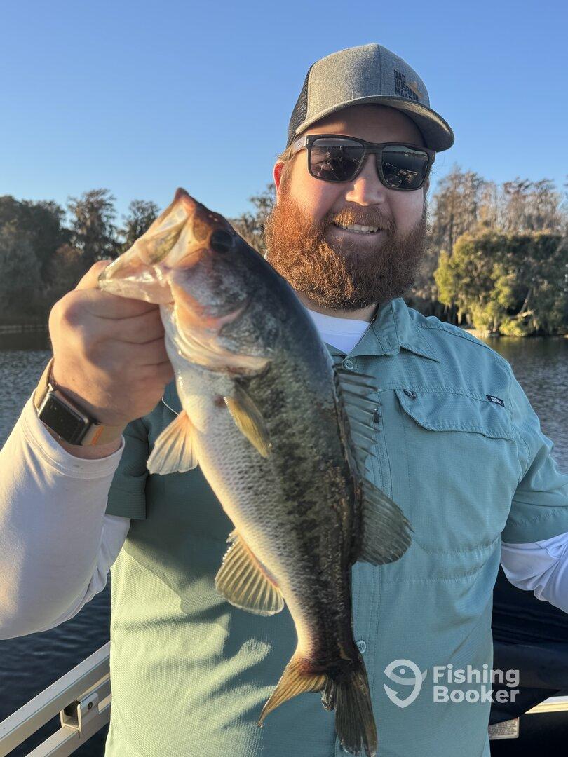 Bass fishermans dream!!!!!!!!!