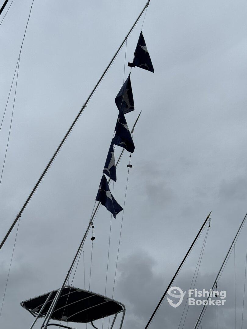 excellent experience!