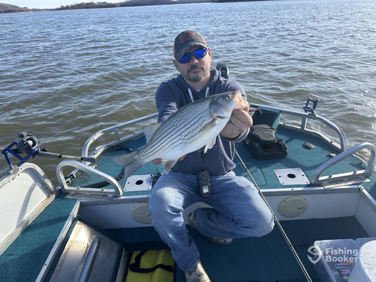 Best guide on Percy Priest