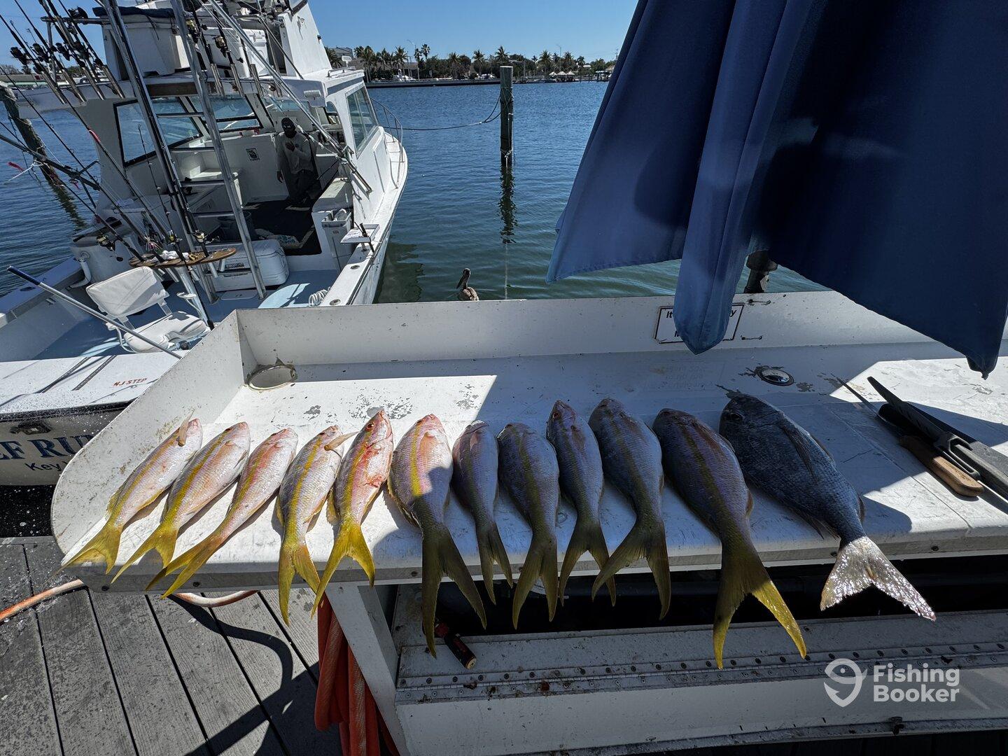 Great fishing experience
