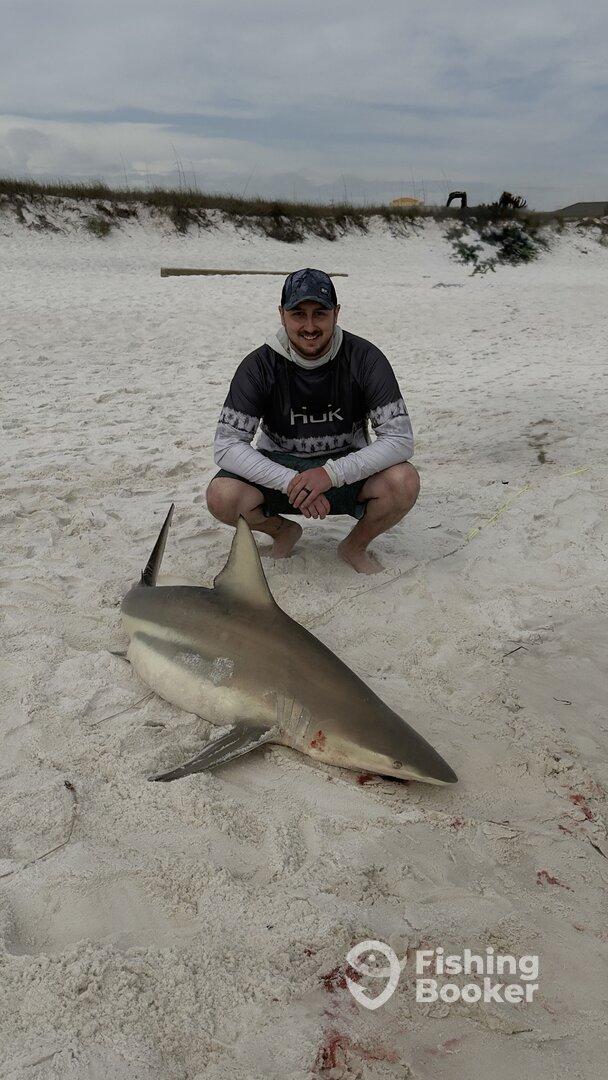 Angler proudly displaying a large shark on the beach, showcasing a successful catch during a fishing trip.
