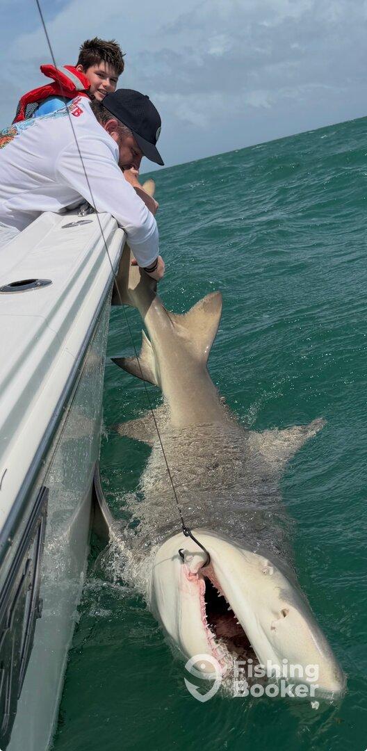 A young angler and an adult are engaged in reeling in a large shark while fishing in open waters, showcasing an exciting moment on the boat.