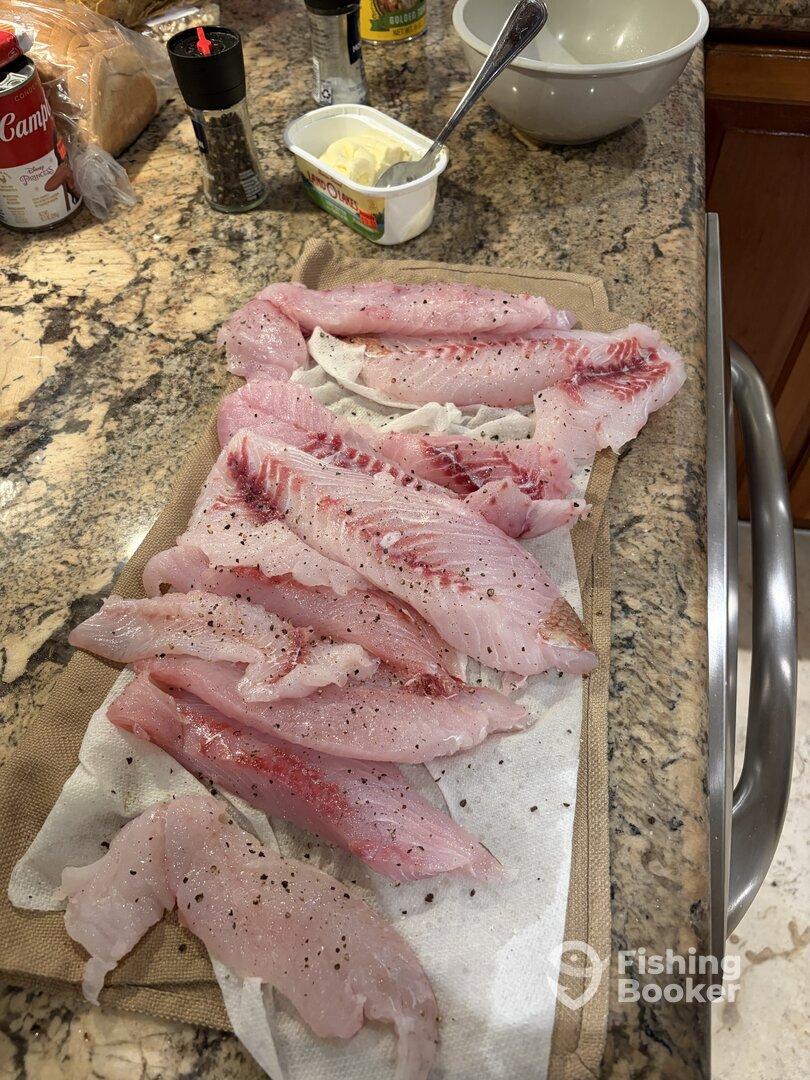 Great half day reef fishing trip