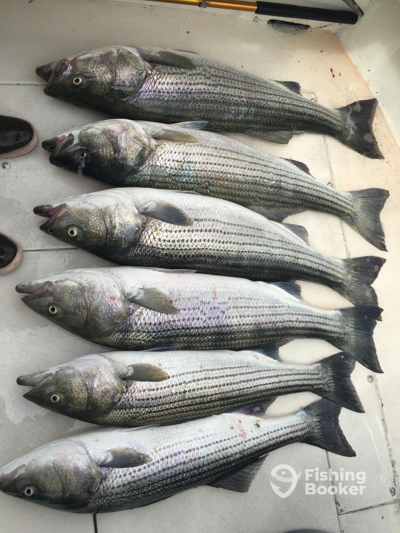 FN Awesome!! Pete & Steve the best!!!!!