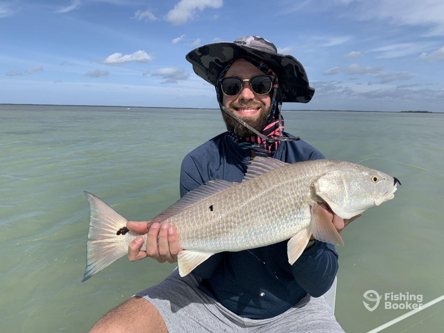 Half day fly and spin rod sight fishing