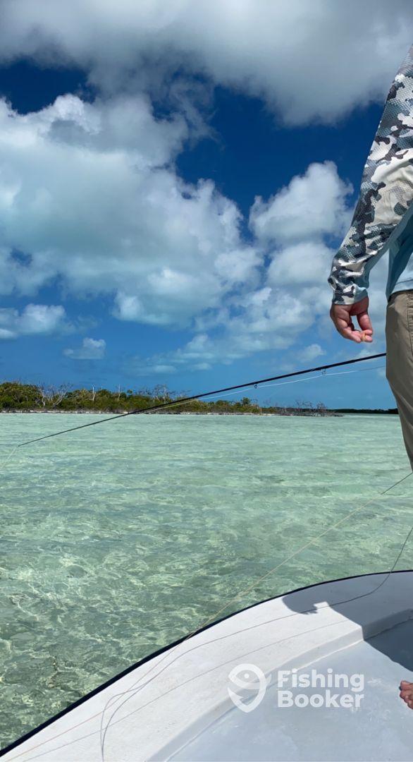 Half day with Dwayne.