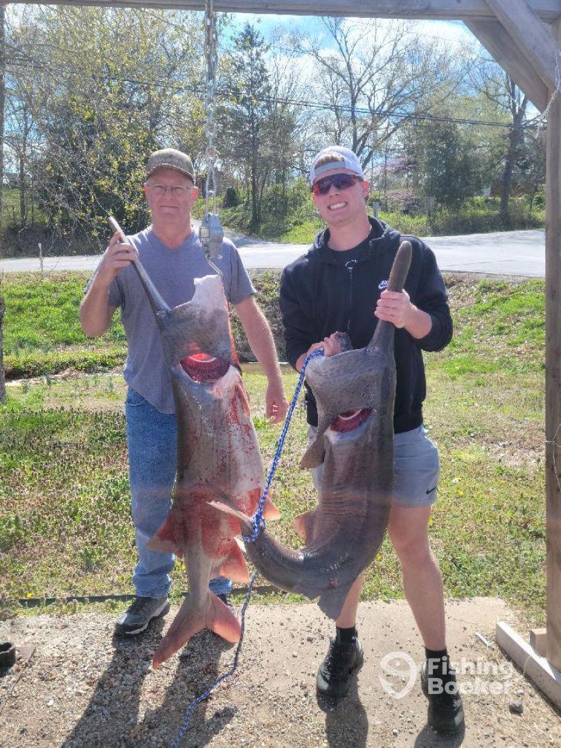 Half Day Spoonbill Trip