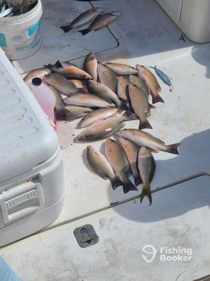 2 hour fun quick trip!