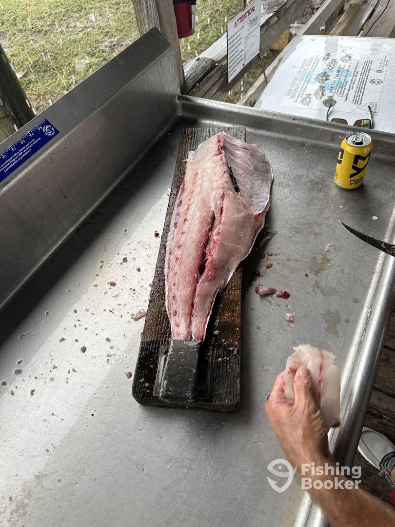 8 - 10 towers & reefs