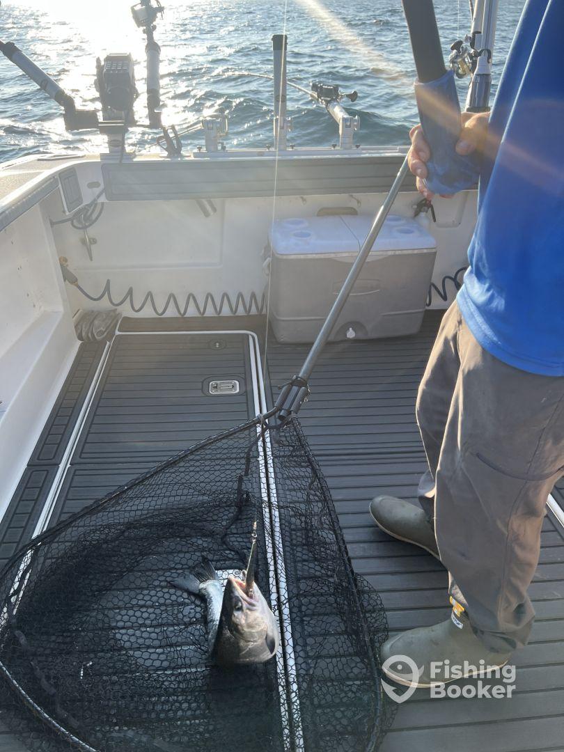 Awesome experience!!