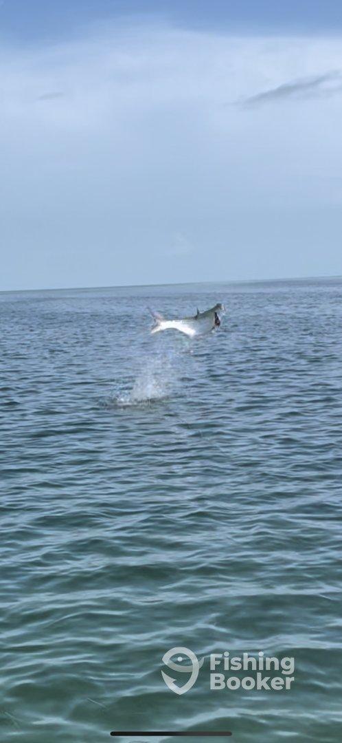 Great day sight casting Everglades, Flamingo flats with Uly