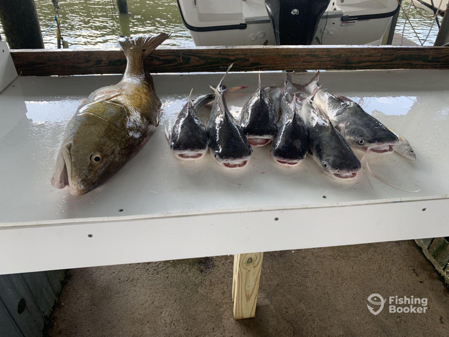 Great time on the water