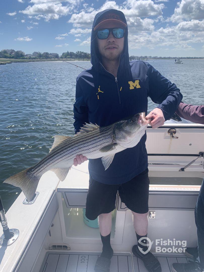 Best Choice I’ve made all year