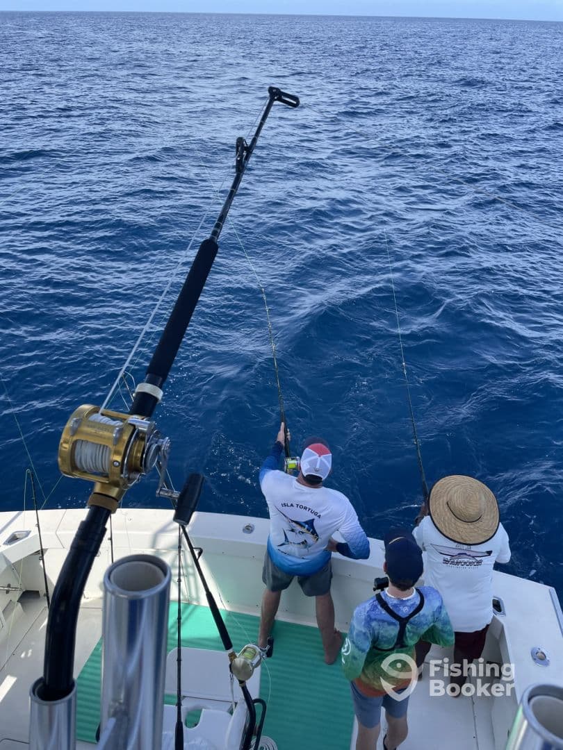 Three anglers actively fishing on a sportfishing boat, with rods bent and lines in the water, showcasing a vibrant ocean backdrop.