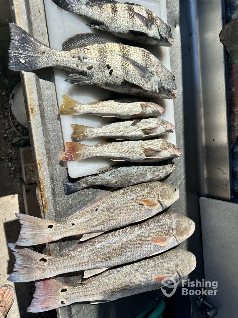 Best Fishing Charter around