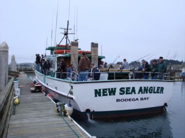 New Sea Angler – Bodega Bay
