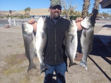 Hooked On Stripers – Lake Mohave