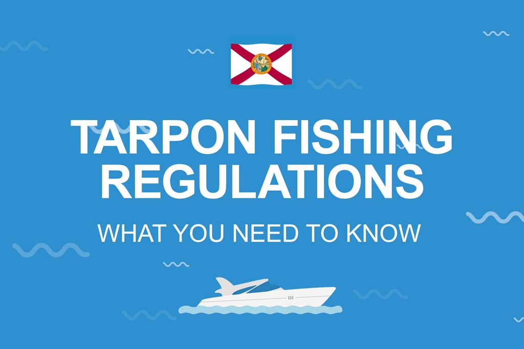 A blue infographic with words "Tarpon fishing regulations" on it and a Florida flag