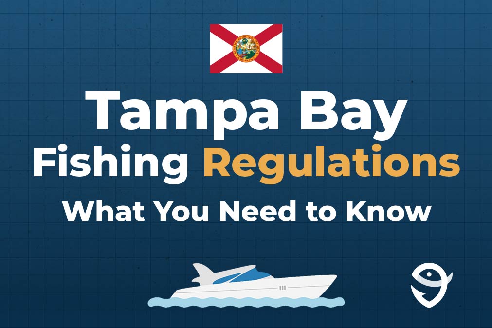 An infographic featuring the flag of Florida along with text that says "Tampa Bay Fishing Regulations What You Need to Know" against a dark blue background