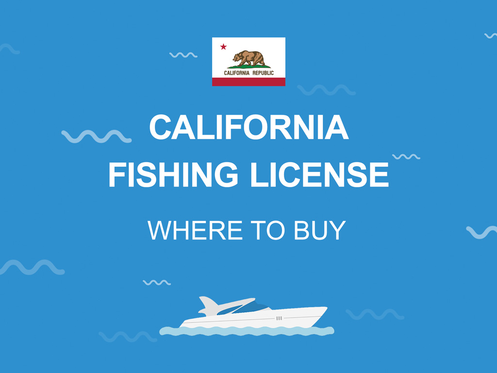 An infographic featuring the California state flag against a blue background and text that says "California Fishing License: Where to Buy"