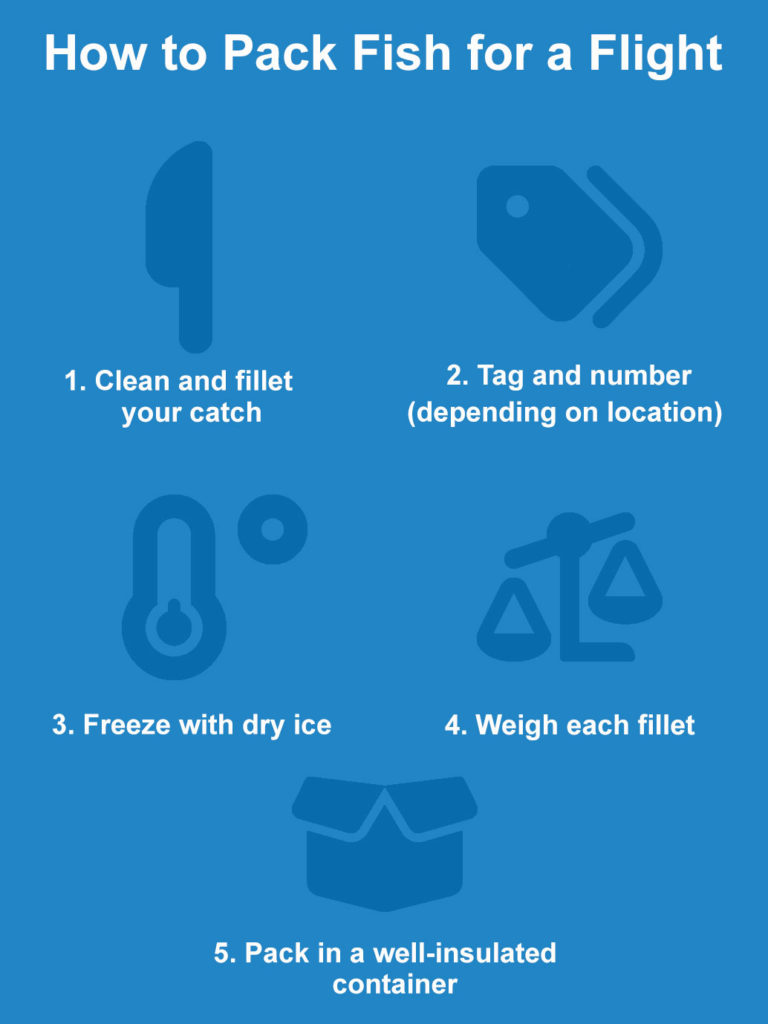 How to Prepare Fish for Your Flight Home (Updated 2023)