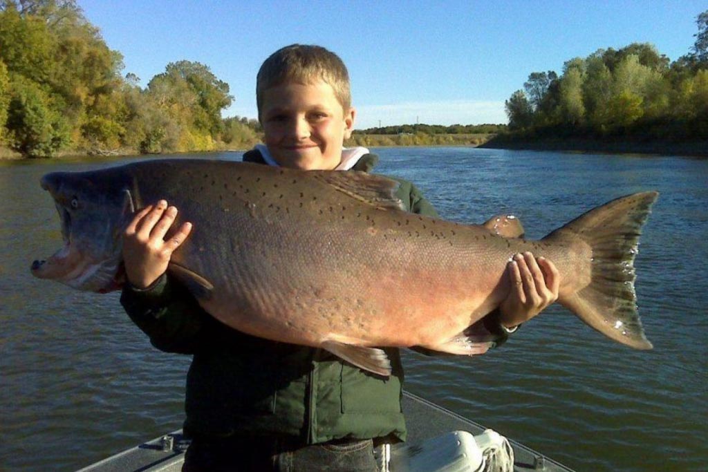 How to Fish for Salmon in Bay Area The Complete Guide