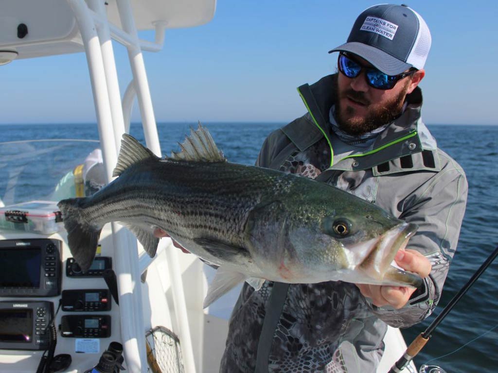 A photo of an angler standing on a charter boat and holding Striped Bass with both his hands during a bright sunny day
