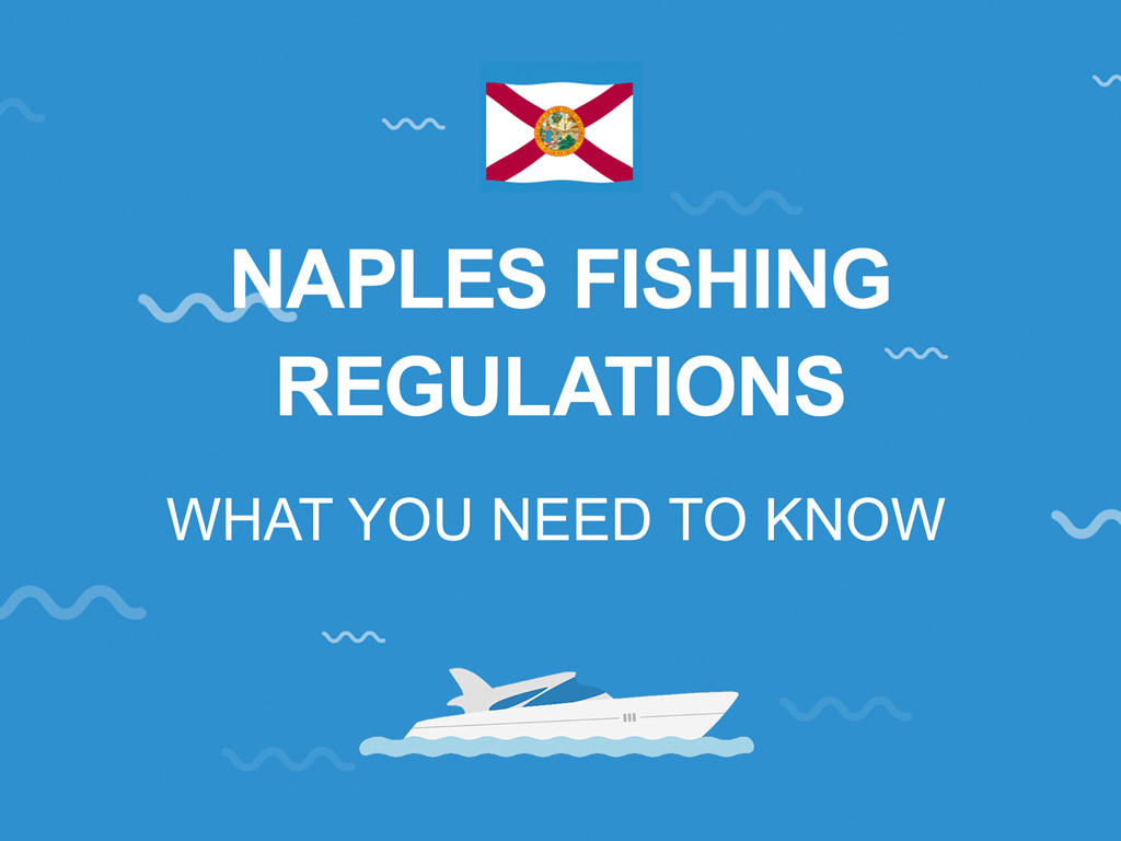 An infographic featuring the Florida flag and text that says "Naples Fishing Regulations" and "What you need to know" against a blue background.